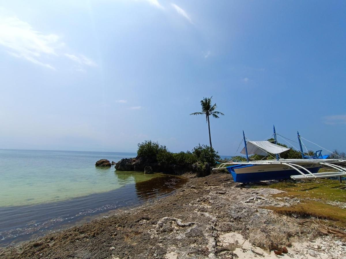 The Wild Orchid Resort - Moalboal Exterior foto