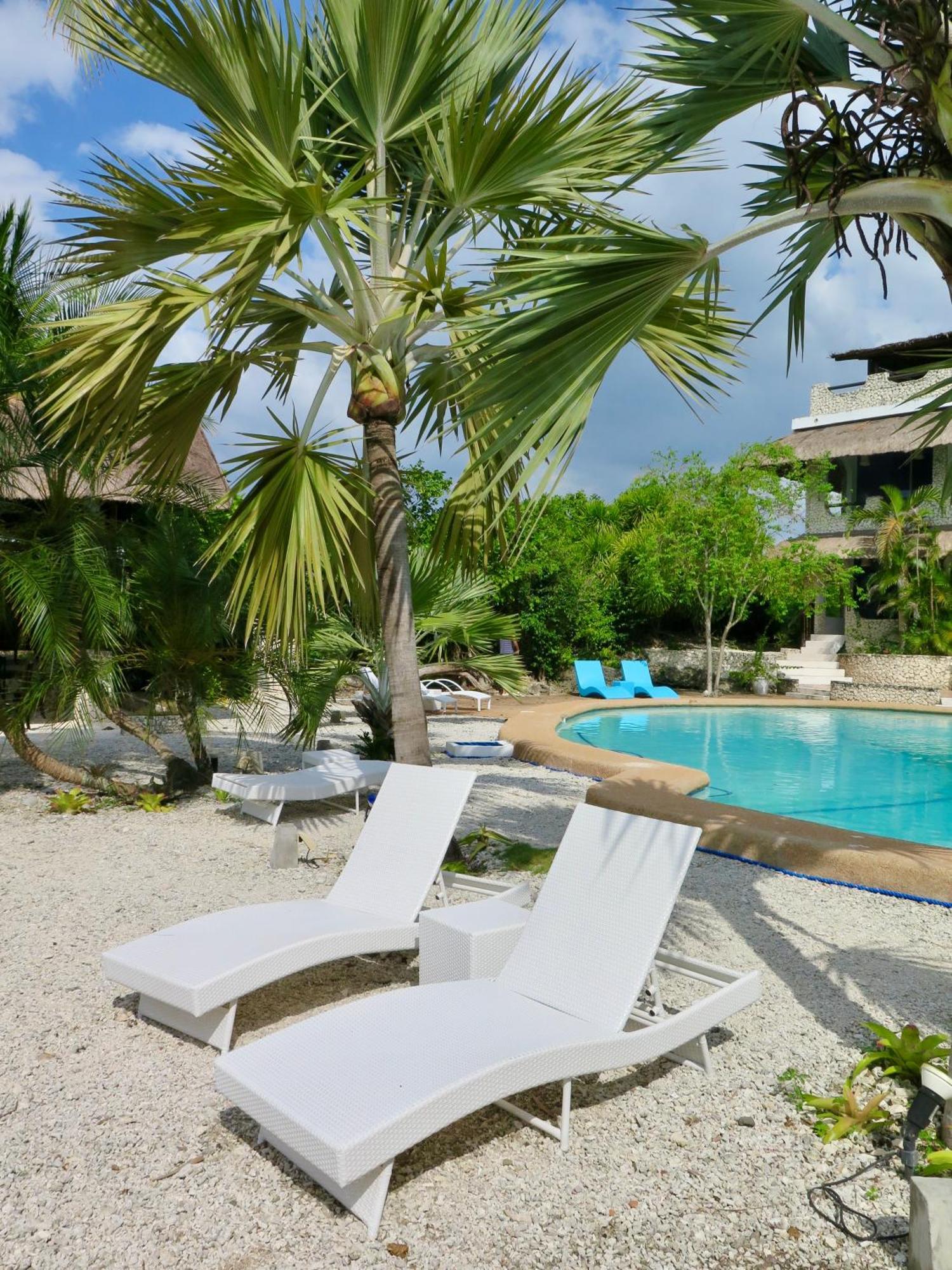 The Wild Orchid Resort - Moalboal Exterior foto