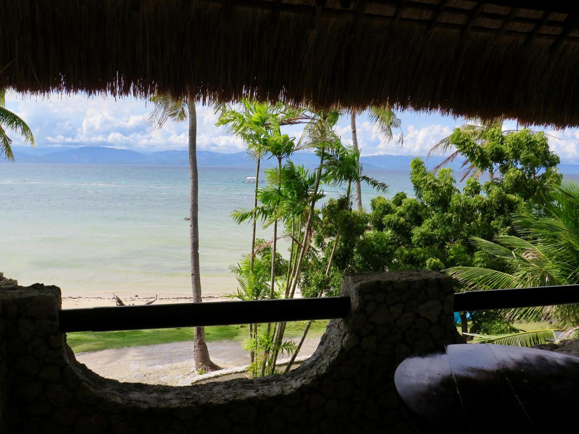 The Wild Orchid Resort - Moalboal Exterior foto
